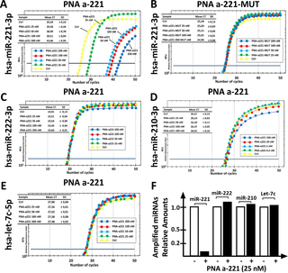<h2>Effects of the PNA-a221 on the RT-PCR amplification of miRNA sequences.</h2>