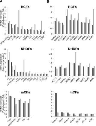 <h2>Microarray analysis of gene expression induced by DOX in HCFs, NHDFs and mCFs.</h2>