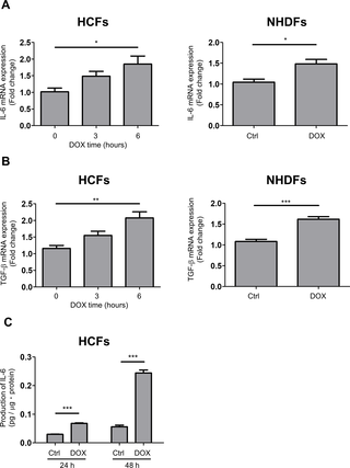 <h2>DOX induced IL-6, TGF-β and collagen expression in HCFs.</h2>