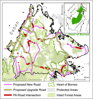 <h2>The Heart of Borneo trilateral conservation region (inset) and extent of proposed new and upgrade roadways in Sabah according to the Sabah Structure Plan 2033, displayed relative to intact forests.</h2>