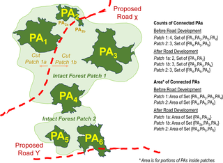 <h2>Hypothetical schematic of estimates of counts and extents of inter-connected protected areas (PAs) by intact forest patches, before and after road development.</h2>