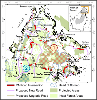 <h2>Two main agglomerations of protected areas (numbered and hatched) pending disconnection in Southern Sabah due to planned road developments amongst townships spanning the major trans-boundary patch, especially the planned Sapulut-Kalabakan route.</h2>