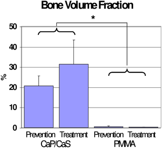 <h2>Bone volume fraction.</h2>