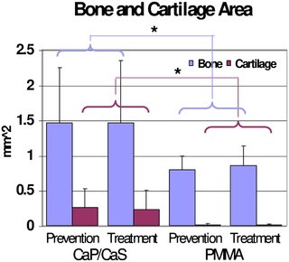 <h2>Bone and cartilage area.</h2>