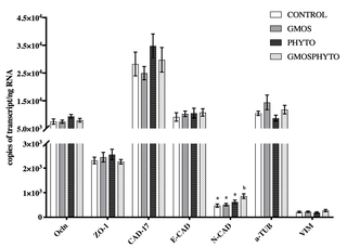 <h2>Absolute quantification of transcript copies of <i>Ocln</i>, <i>ZO-1</i>, <i>Cad-17</i>, <i>E-Cad</i>, <i>N-Cad</i>, <i>a-Tub</i>, <i>and vim</i> genes in European sea bass (<i>Dicentrarchus labrax</i>) posterior gut (mean ± SEM, n = 6 fish/diet).</h2>