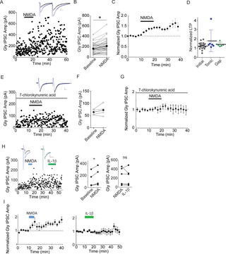 <h2>NMDA receptor activation potentiates Gly IPSCs.</h2>