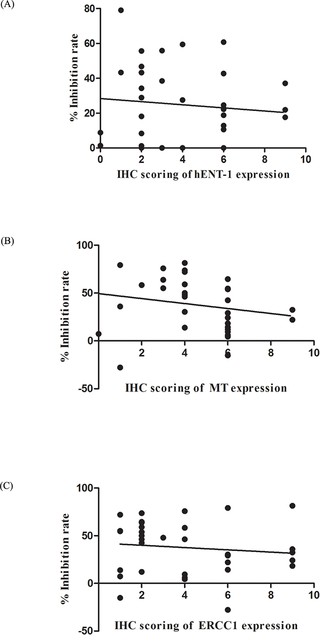 <h2>The correlation of expression of gemcitabine and cisplatin predictive biomarkers and %IR.</h2>