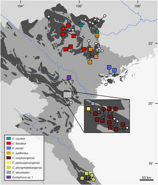 Sampling localities of <i>Cyclophorus</i> spp. in northern Vietnam.