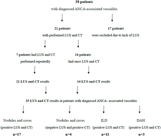 <h2>Flow chart of patients’ selection for the inclusion in the study and LUS results.</h2>