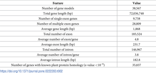 <h2>Gene annotation of <i>Brassica rapa</i> ‘CT001’.</h2>