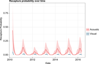 <h2>Visual and acoustic recapture probability over time.</h2>