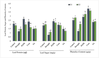 <h2>Leaf protein, sugar and phenolic contents of drought sensitive (G1) and tolerant (G2) wheat genotypes grown under rainfed field condition.</h2>