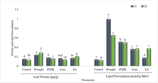 <h2>Leaf proline content and lipid peroxidation in the leaves of drought sensitive (G1) and tolerant (G2) wheat genotypes grown under rainfed field condition.</h2>