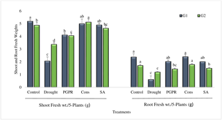 <h2>Shoot and root fresh weights of drought sensitive (G1) and tolerant (G2) wheat genotypes grown under rainfed field condition.</h2>