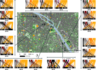 <h2>Study sites within Paris (France) and related plant-pollinator networks.</h2>