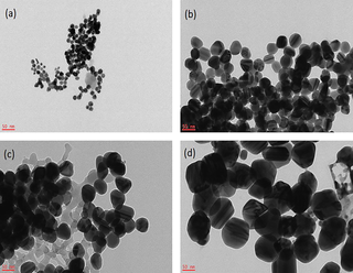 <h2>TEM photographs of different particle sizes of Ag-NPs.</h2>