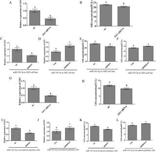 <h2>The effects of overexpressing or inhibiting miR-543-5p on the expression level of <i>Gh1</i> and the secretion level of GH in GH3 cell line and in rat anterior pituitary.</h2>