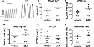 <h2>Dex significantly increased inotropy in Langendorff-perfused rat hearts.</h2>