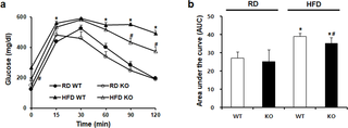 <h2>The effect CCR2 depletion on glucose tolerance.</h2>