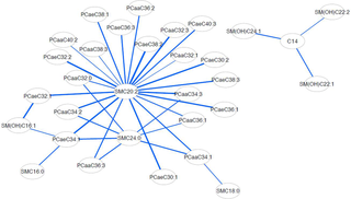 <h2>The differential correlation network showing linkages between components of the metabolite dataset.</h2>