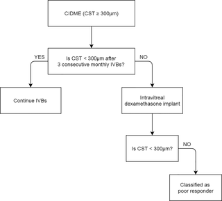 <h2>Flowchart showing treatment decision tree for CIDME.</h2>