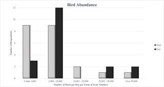 <h2>Number of birds present per day on each operation at peak numbers.</h2>