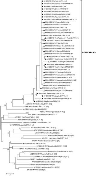 Phylogenetic tree of sequences studied with reference sequences.