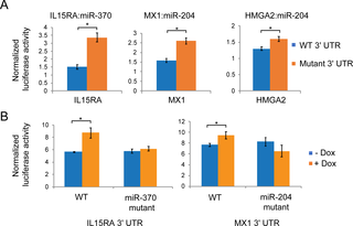 <h2>Direct regulation of EZH2-activated genes by EZH2-repressed miRNAs.</h2>