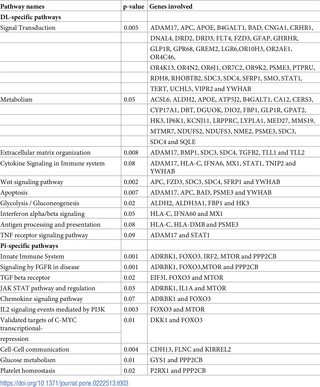 <h2>Top ten biological pathways enriched by breed specific differentially expressed genes in PBMCs following PRRSV vaccination in DL and Pi pigs.</h2>