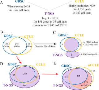 <h2>FN errors and inconsistent mutation calls between GDSC and CCLE.</h2>