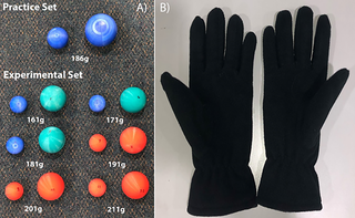 <h2>Practice and experimental stimuli and gloves.</h2>