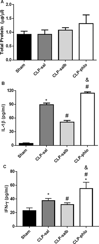 <h2>Total protein concentration and pro-inflammatory cytokines in bronchoalveolar lavage.</h2>