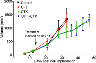 <h2>Effect of UFT, CTX and UFT+CTX metronomic chemotherapy on localized primary tumors.</h2>