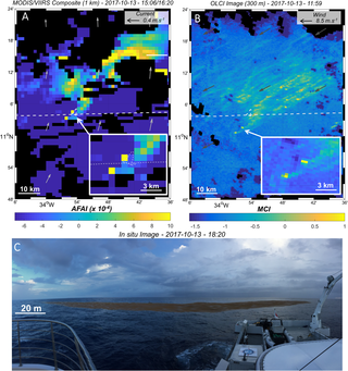<h2>Satellite images (MODIS-VIIRS and OLCI) and <i>in situ</i> pictures of <i>Sargassum</i> aggregations and rafts observed in the middle of the Tropical North Atlantic during the <i>Transatlantic</i> cruise (Y07b).</h2>