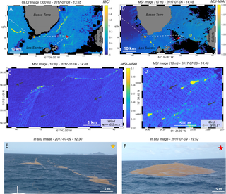 <h2>Satellite images (OLCI and MSI) and <i>in situ</i> pictures of <i>Sargassum</i> aggregations and rafts observed south of Guadeloupe Island during the <i>West Atlantic</i> cruise (S24a).</h2>