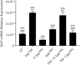 Effects of combinations of rhTNF and PPS on <i>NGF</i> gene expression in osteocyte-like cultures.