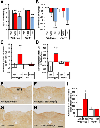 <h2>Effects of T-3601386 on food intake, BW, plasma incretin levels and NTS activation in <i>Ffar1</i><sup><i>-/-</i></sup> and wild-type mice fed HFD.</h2>