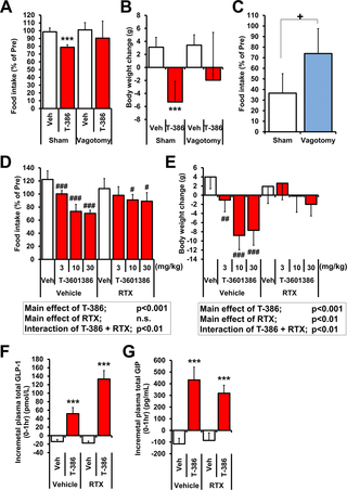 <h2>Effects of T-3601386 on food intake and BW in rats with vagal nerve blockade.</h2>