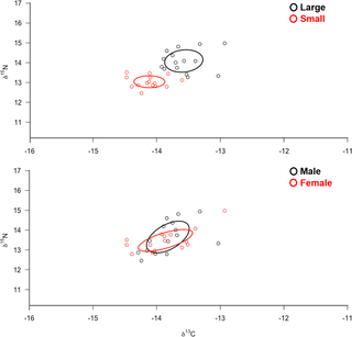 <h2>Isotopic niche area (δ<sup>13</sup>C and δ<sup>15</sup>N values) and degree of trophic niche overlap between large vs. small / male vs. female tiger sharks at two locations within the Galapagos Marine Reserve.</h2>