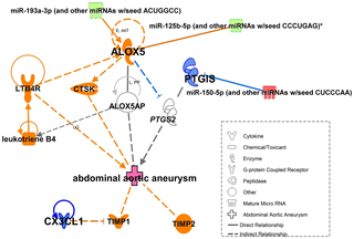 <h2>Ingenuity Pathway Analysis (IPA) showed predicted interactions between validated miRNAs and their respective targets genes in abdominal aortic aneurysm.</h2>