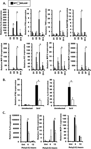 <h2>Cytokine expression is less in NKLAM<sup>-/-</sup> mouse lung homogenate and NKLAM<sup>-/-</sup> BMDM.</h2>