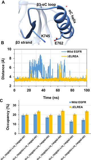<h2>EGFR E762<sup>…</sup>K745 salt bridge behaviour during the MDS.</h2>