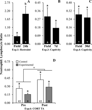 <h2>Neutrophil Lymphocyte ratio following stressors and corticosterone transdermal application in <i>R</i>. <i>ornata</i> toads.</h2>