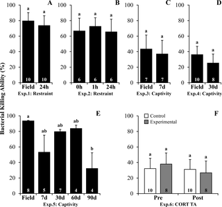 <h2>Bacterial killing ability following stressors and corticosterone transdermal application in <i>R</i>. <i>ornata</i> toads.</h2>