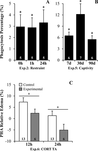 <h2>Phagocytosis activity and inflammatory response following stressors and corticosterone transdermal application in <i>R</i>. <i>ornata</i> toads.</h2>