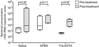 Bacterial DNA concentrations in urine samples before and after treatment with saline, DPBS, or Tris-EDTA.