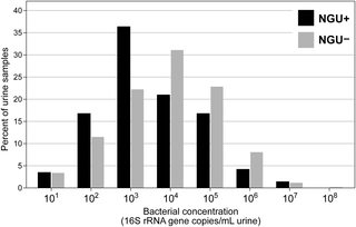 Distribution of bacterial DNA extracted from urine samples treated with 10% v/v Tris-EDTA.