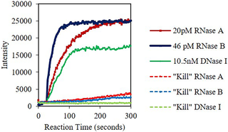 Fluorescent intensity at 520 nm (RNase A/B) and 556 nm (DNase I) versus time for nucleases post Lyse-It.