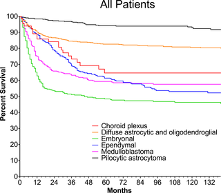 Survival of infants with brain tumors by subtype.