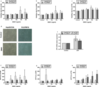 Effect of DKK1 on the viability rate and on the AFP protein and mRNA expression levels in hepatocellular carcinoma cell lines.